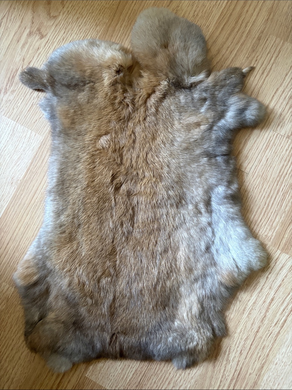 B0119 rabbit pelt